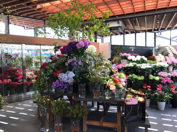 「ＡＯＹＡＭＡ花苑」　（兵庫県姫路市）の花屋店舗写真2